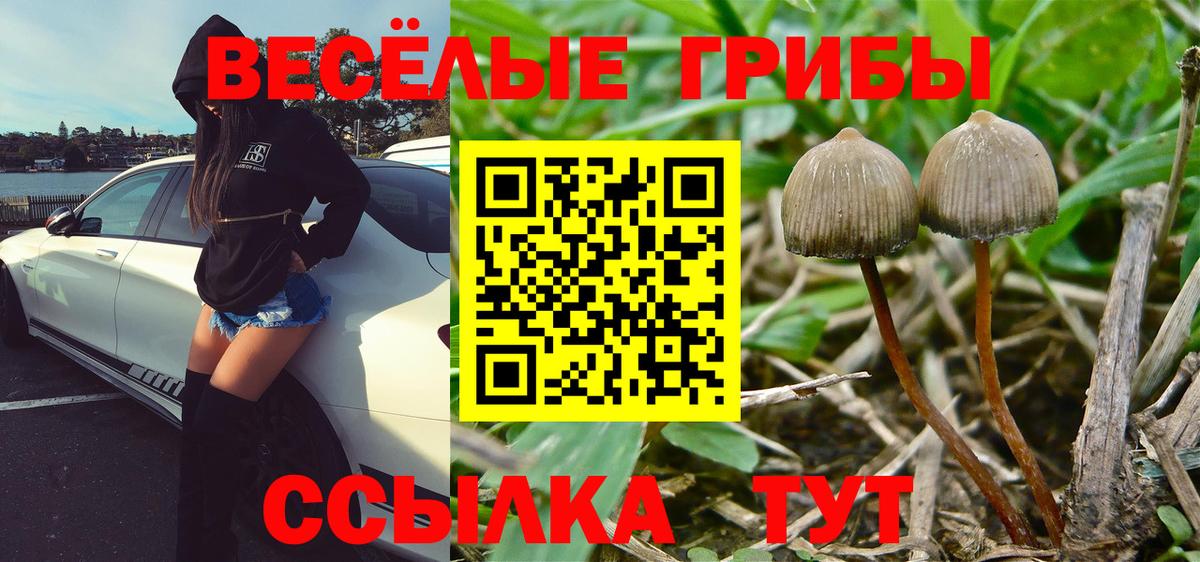 Артёмовский  Галлюциногенные грибы GOLDEN TEACHER  Вход с VPN 